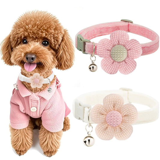 Floral Bell Puppy Collar for Small Dogs - PetLuxe